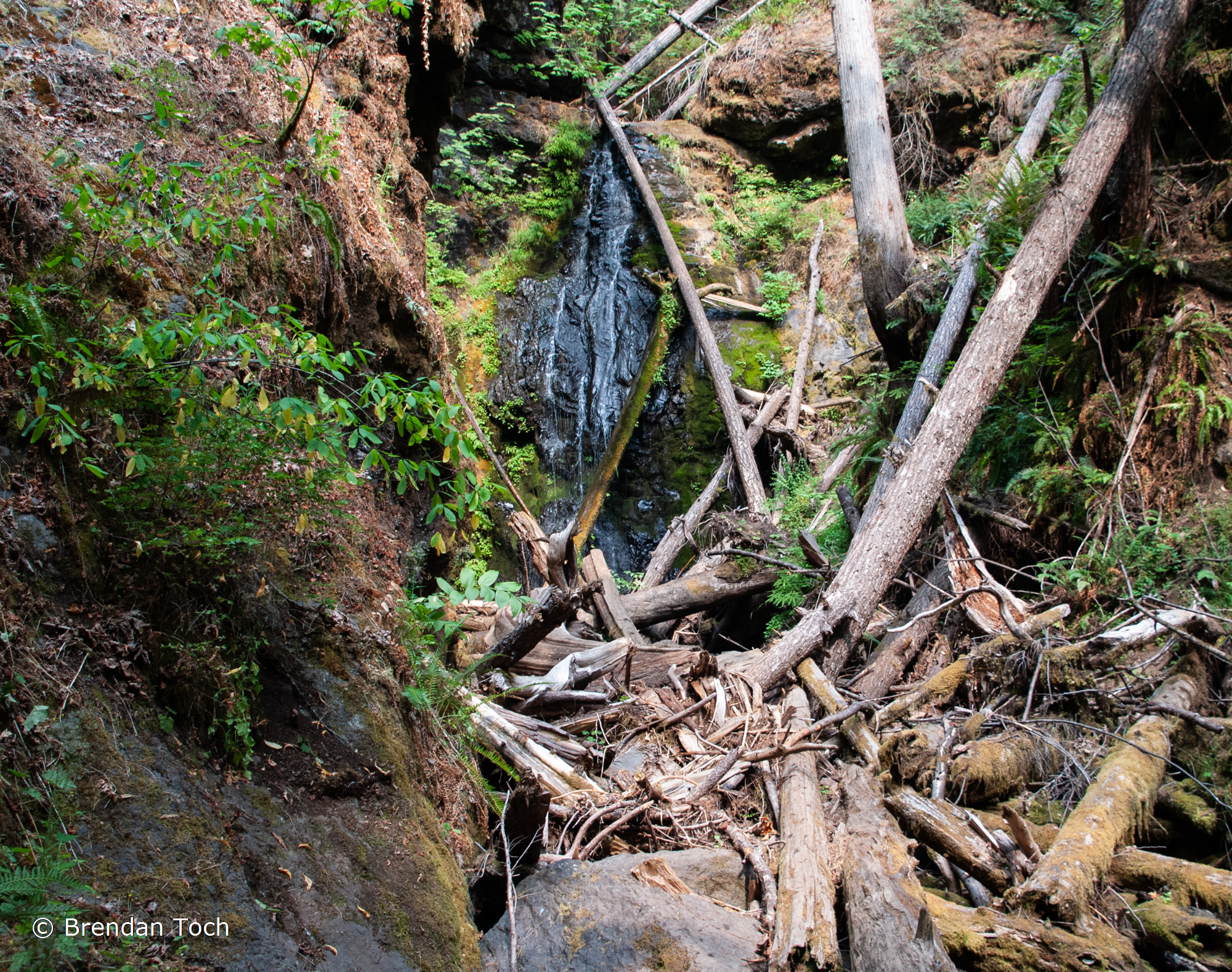 Dorena, Oregon - Lower Trestle Creek Falls are a majestic log jam waterfall in the Brice Creek trail area.